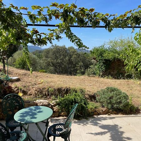 Cottage Les Marjoris Tanneron מראה חיצוני תמונה